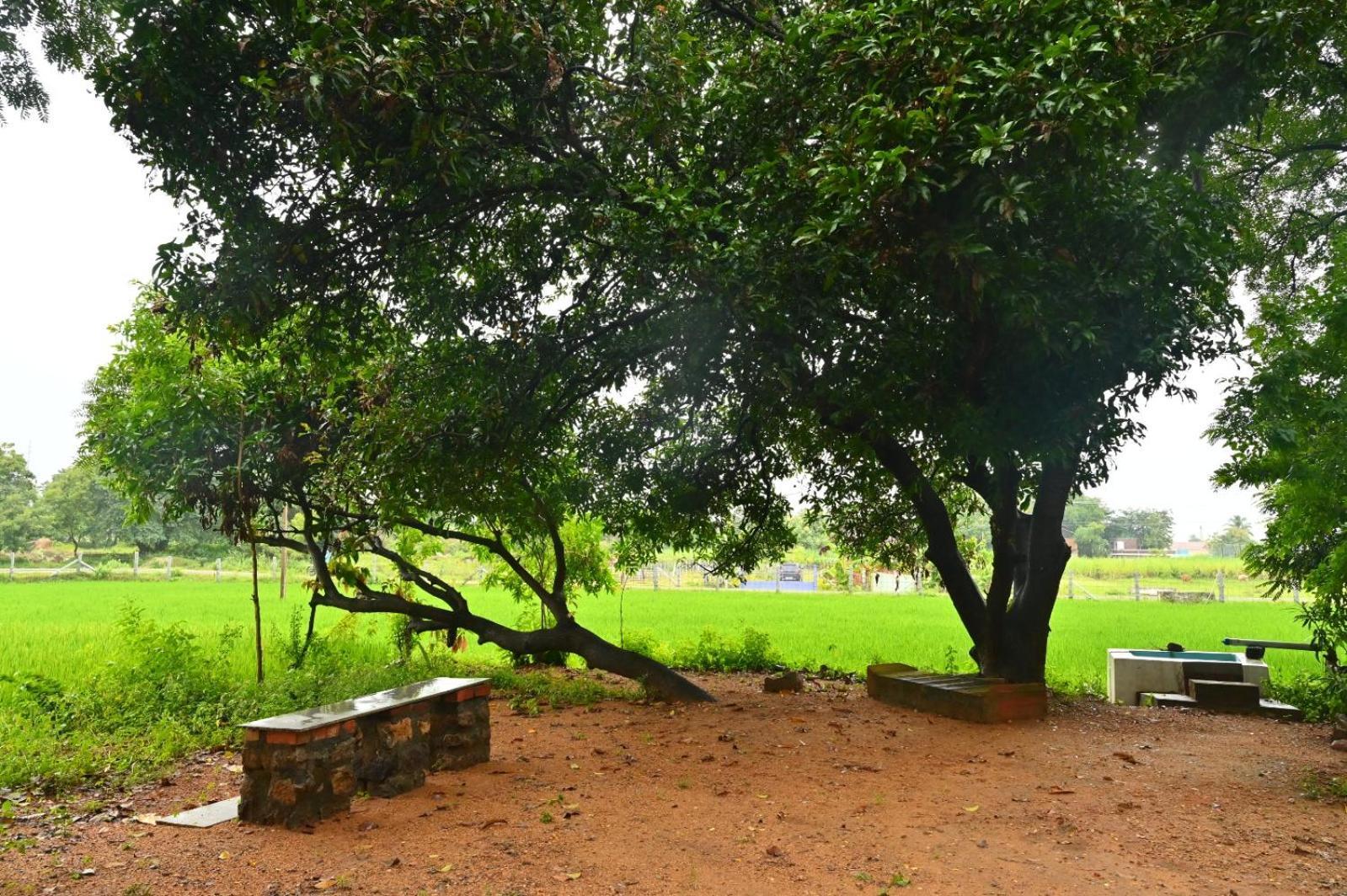 Pathayam Inn Tiruvannāmalai Eksteriør bilde