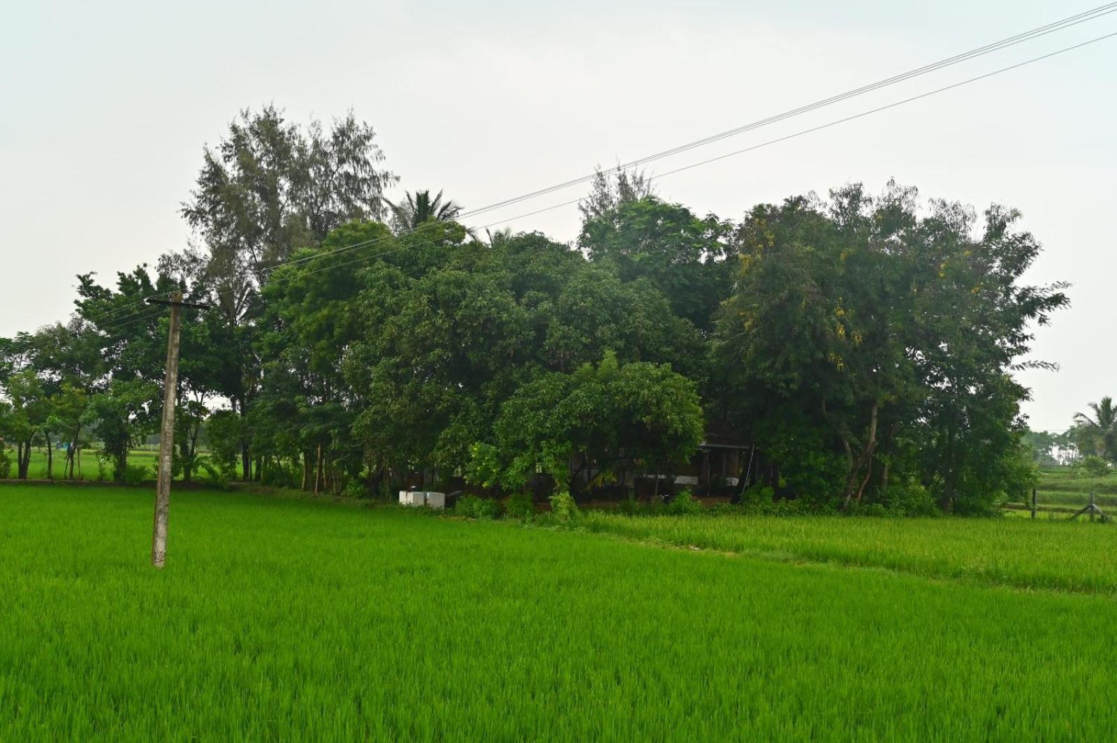 Pathayam Inn Tiruvannāmalai Eksteriør bilde